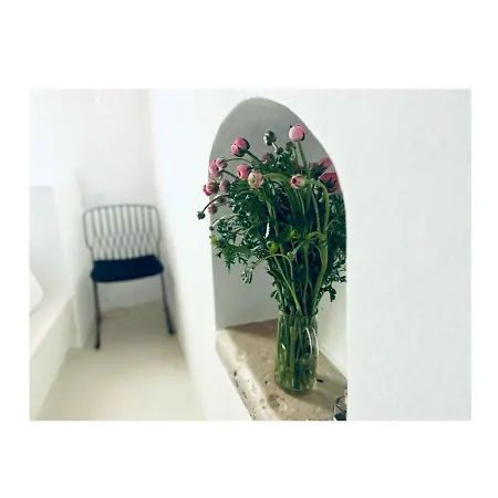 Hydria Art Gallery Bed & Breakfast *