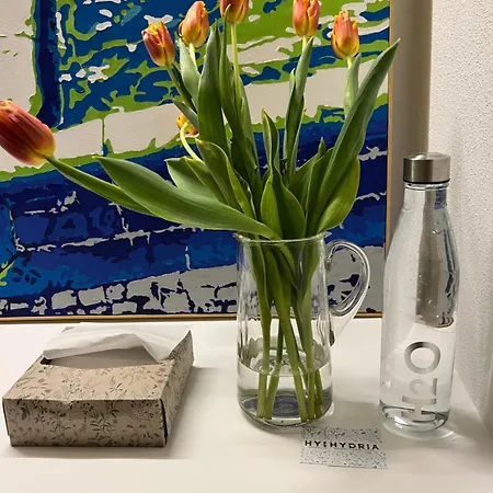 Alojamento de Acomodação e Pequeno-almoço Hydria Art Gallery