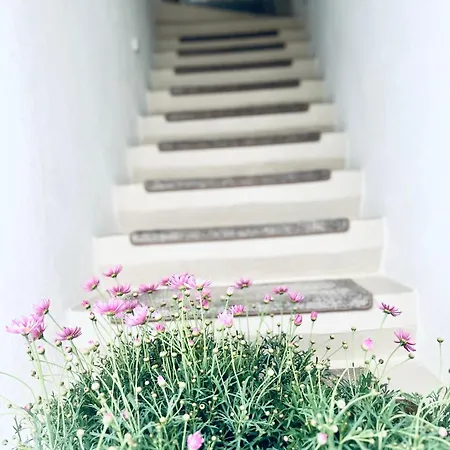 Bed & Breakfast Hydria Art Gallery