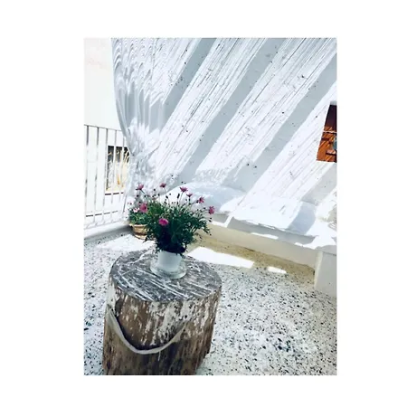 Hydria Art Gallery Bed & Breakfast