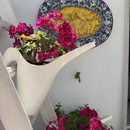Hydria Art Gallery Bed & Breakfast 4*